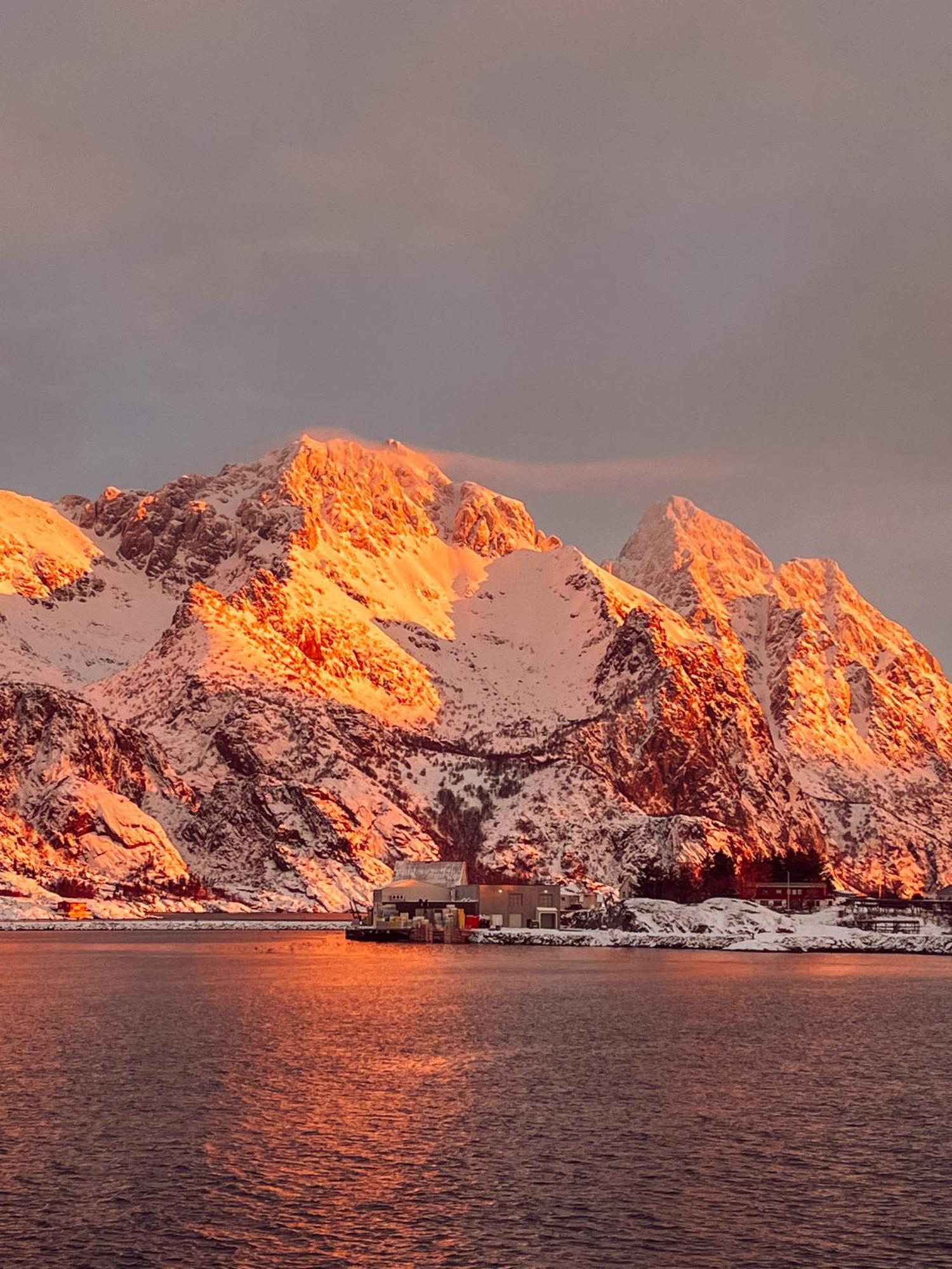 Finnholmen Brygge Henningsvær Exteriör bild